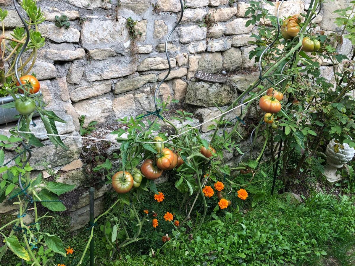 44 Rue Cap Bed and Breakfast Καν Εξωτερικό φωτογραφία