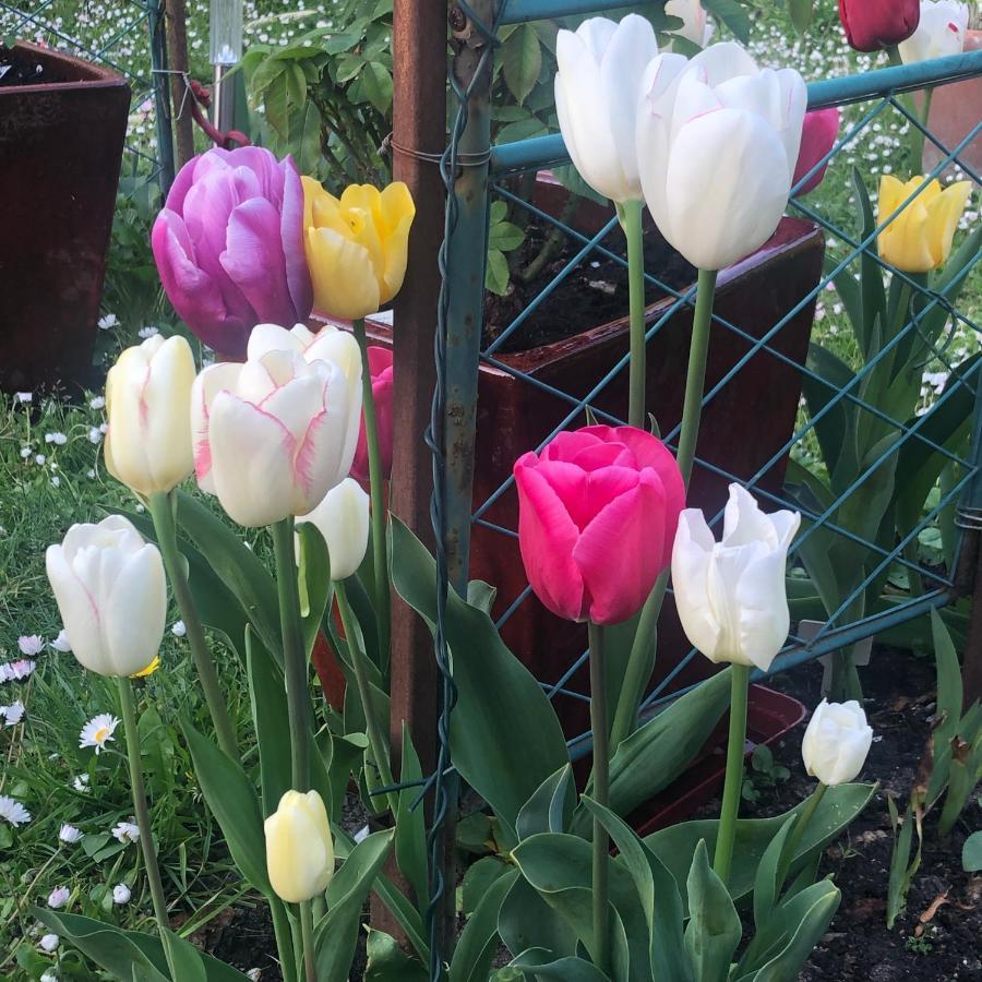 44 Rue Cap Bed and Breakfast Καν Εξωτερικό φωτογραφία